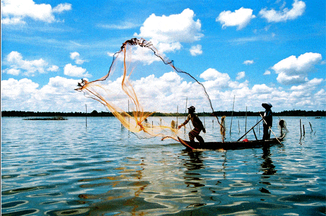 Cảnh đánh cá trên Đầm - điểm du lịch Cà Mau đẹp(Nguồn sưu tầm)