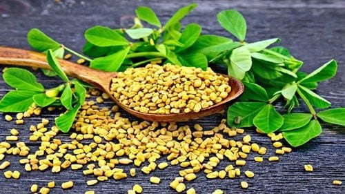 Cỏ cà ri hỗ trợ testosterone